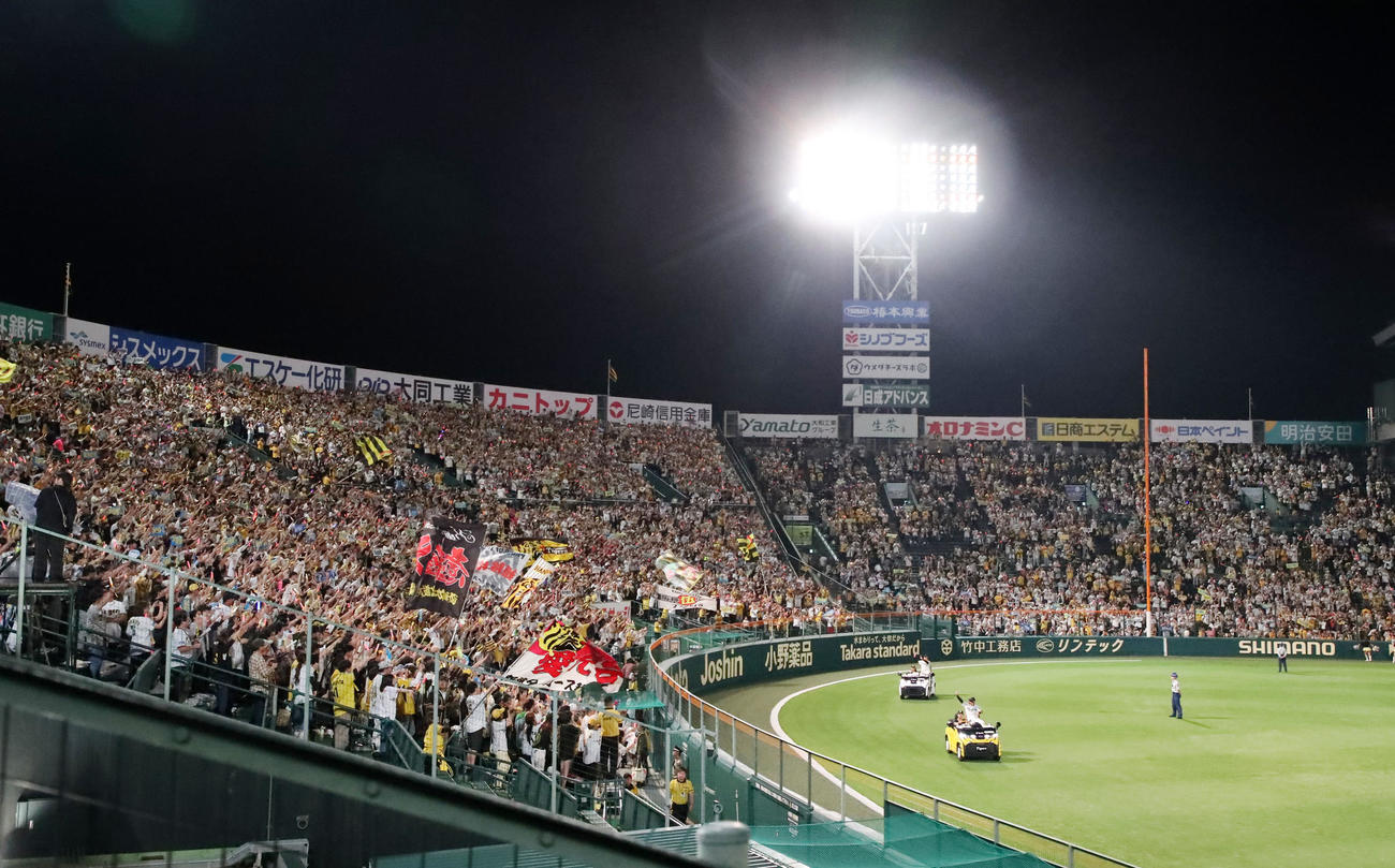 阪神対オリックス　オリックスに連勝し場内1周する近本（右）と森下（撮影・加藤哉）