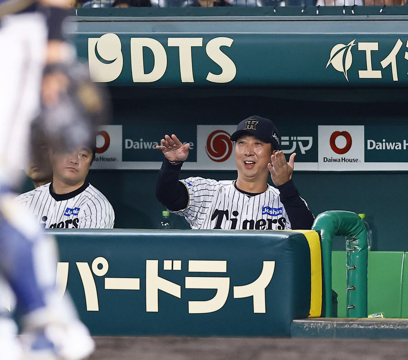 阪神対オリックス　5回裏阪神1死、熊谷の左飛で、審判に確認する藤川監督（撮影・藤尾明華）