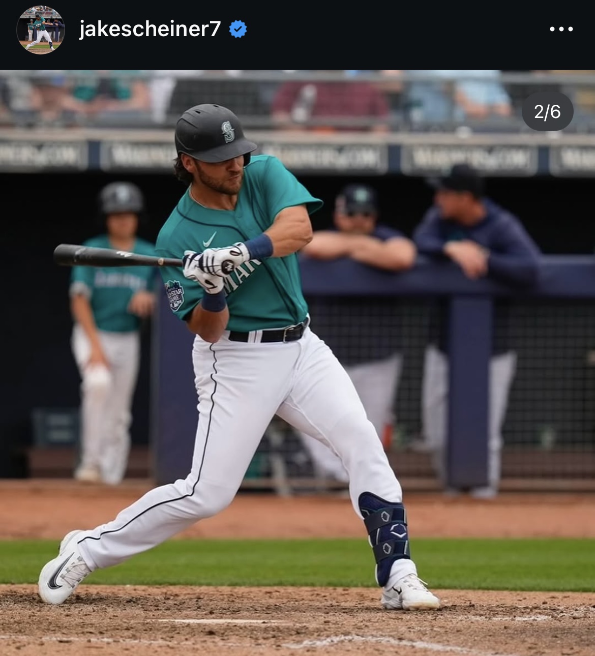 シャイナーのインスタグラムから