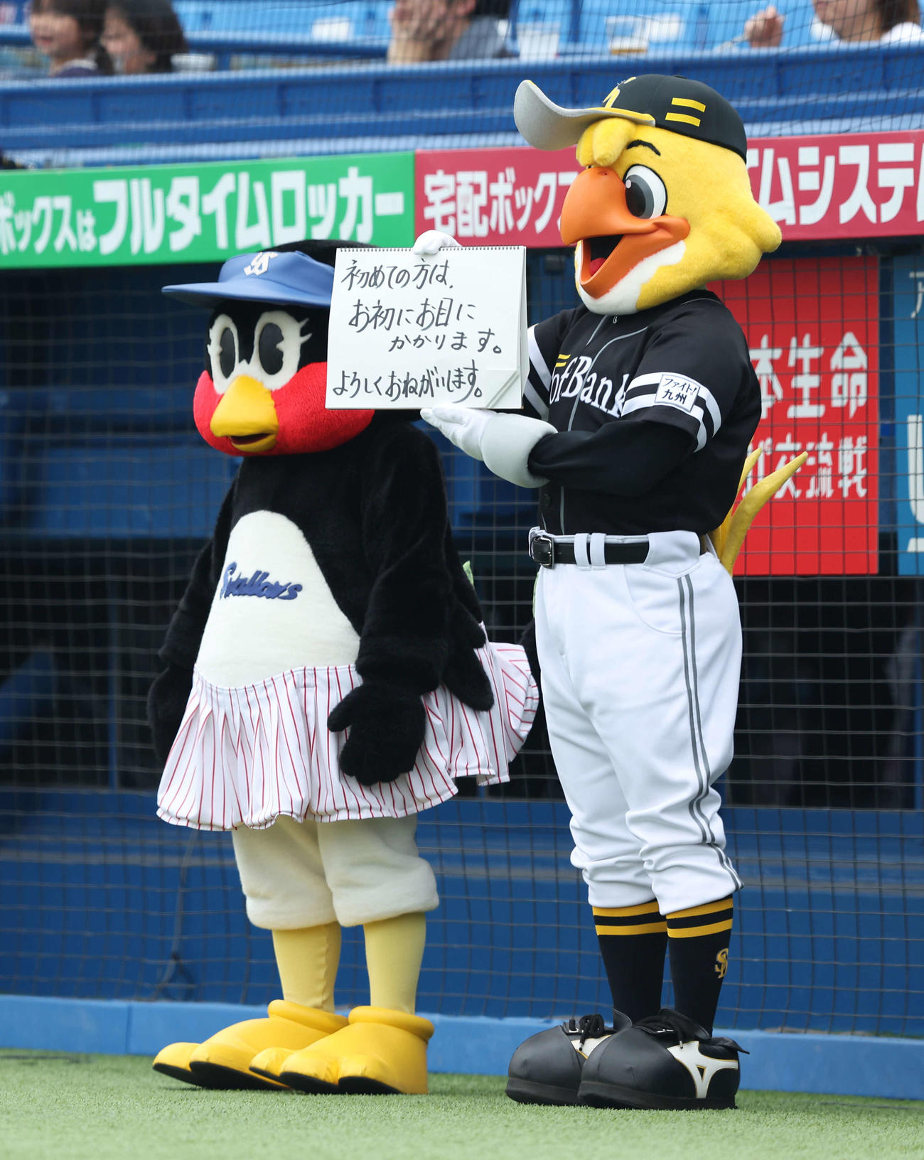 ヤクルト対ソフトバンク　試合前、フリップ芸を披露するハリーホーク（右）とつばみ（撮影・河田真司）