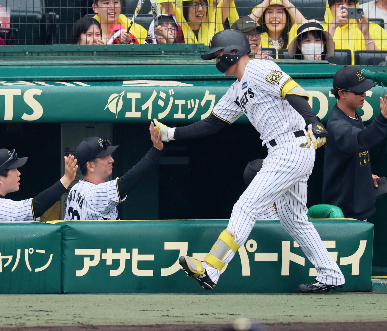 阪神対オリックス　3回裏阪神2死一、二塁、左越え3点本塁打を放った森下(右）とタッチする藤川監督（撮影・加藤哉）