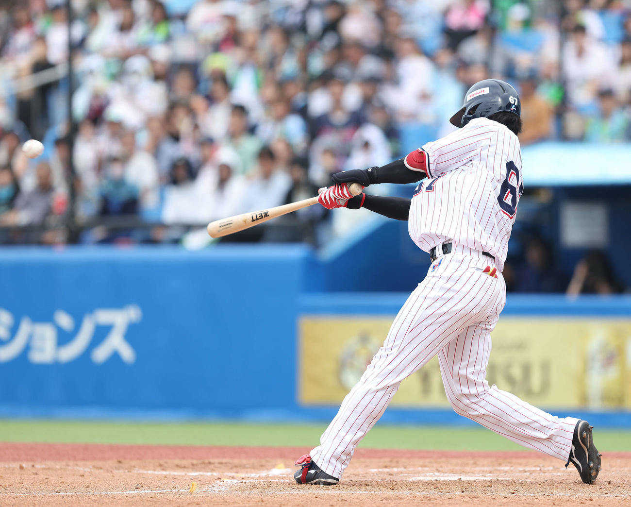 ヤクルト対ソフトバンク　5回裏ヤクルト1死二塁、左越え2点本塁打を放つ伊藤（撮影・河田真司）