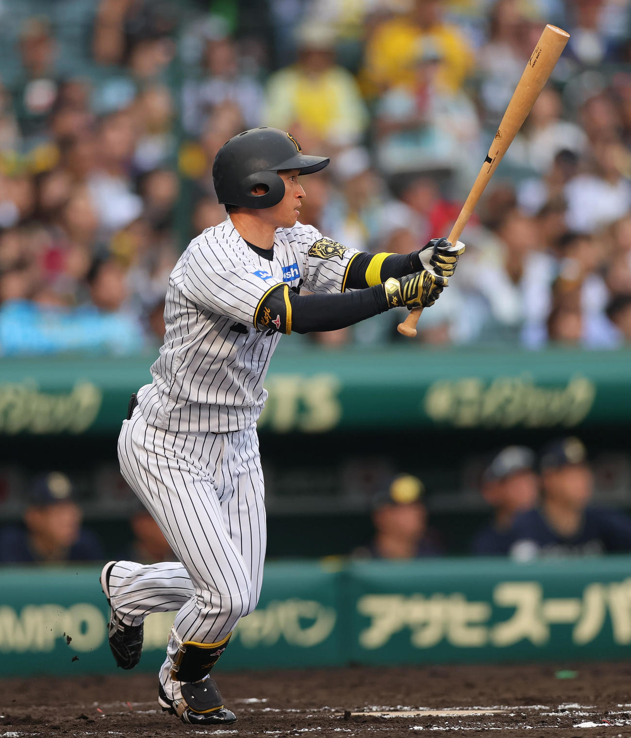 阪神対オリックス　8回裏阪神無死一塁、近本は中前打を放つ（撮影・上山淳一）
