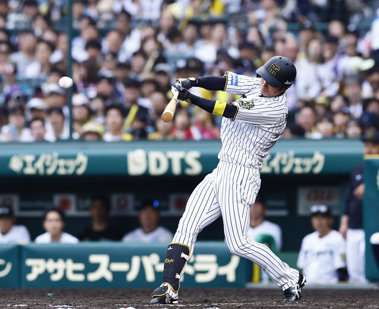 阪神対オリックス　8回裏阪神無死一塁、近本は中前打を放つ（撮影・藤尾明華）