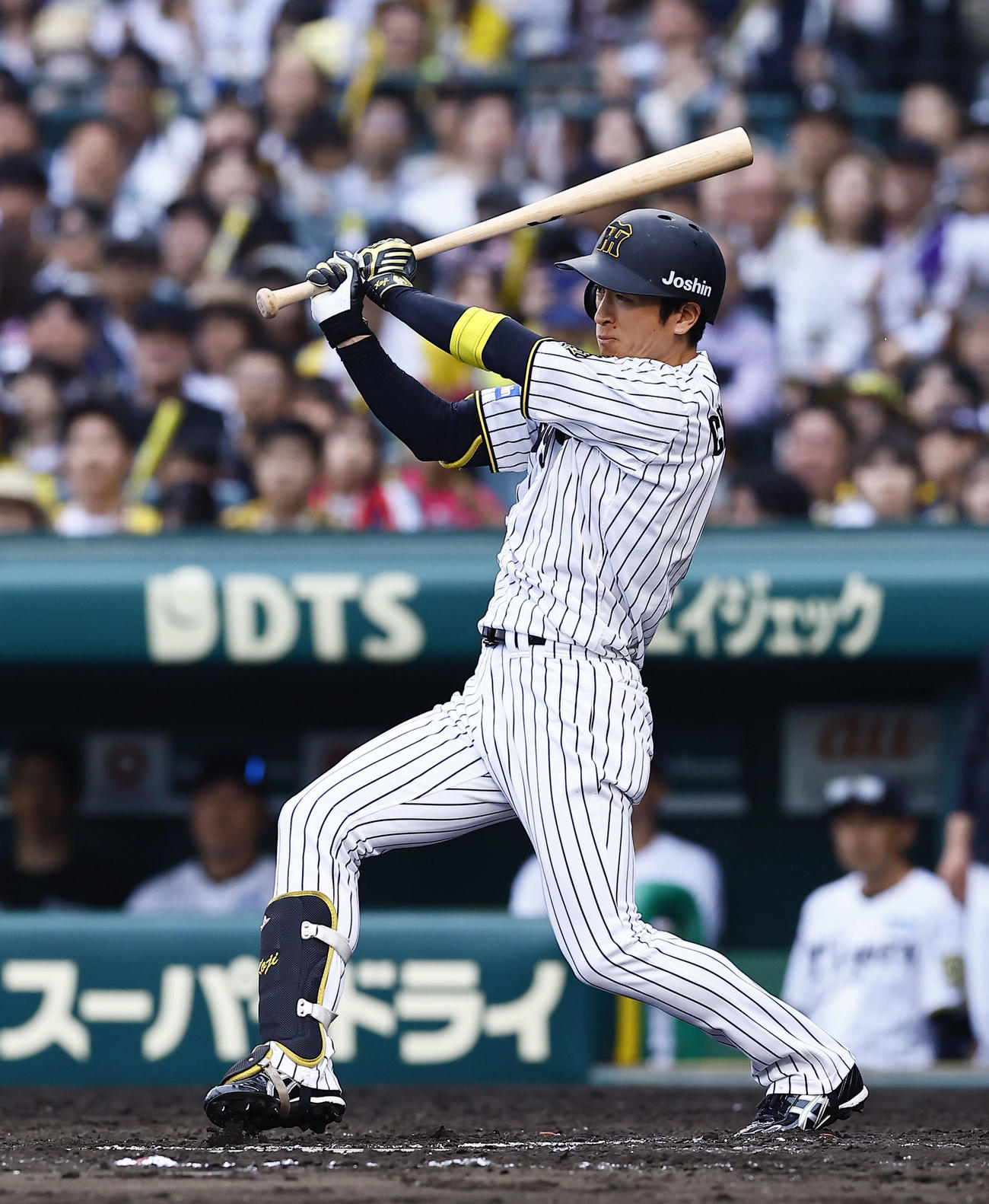 阪神対オリックス　8回裏阪神無死一塁、近本は中前打を放つ（撮影・藤尾明華）