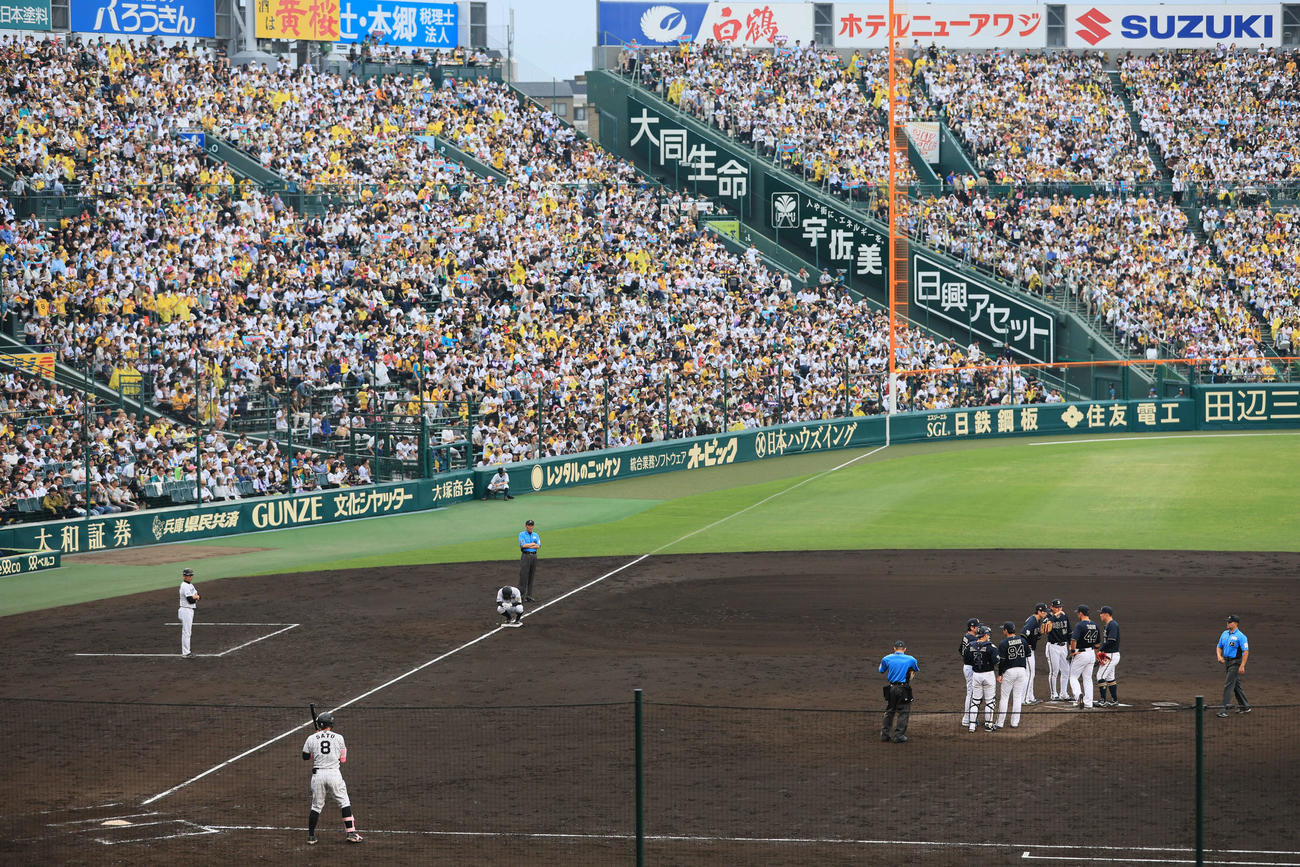 阪神対オリックス　8回裏阪神1死満塁、目前で森下を申告敬遠された佐藤輝（撮影・宮崎幸一）