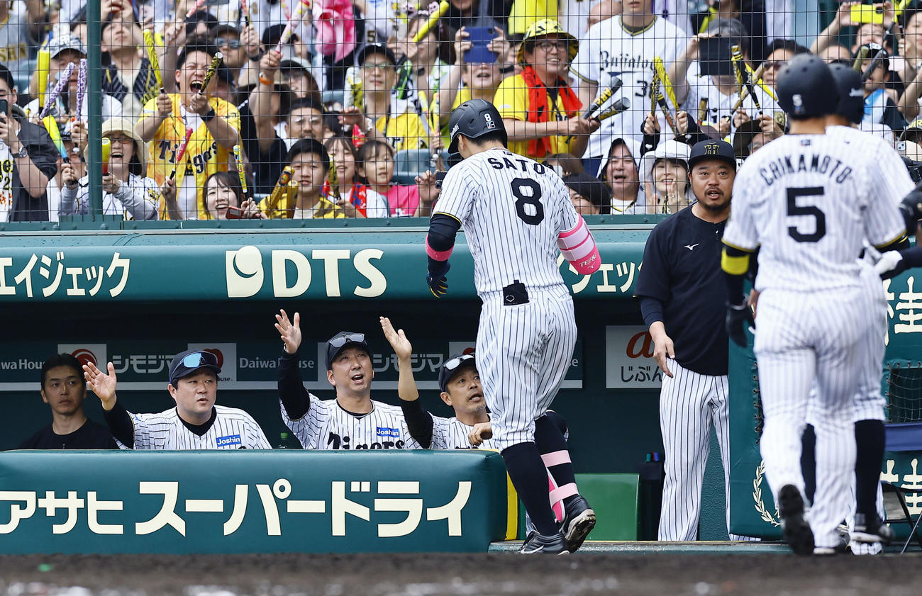 阪神対オリックス　8回裏阪神1死満塁、満塁本塁打を放った佐藤輝を出迎える藤川監督（中央）（撮影・藤尾明華）