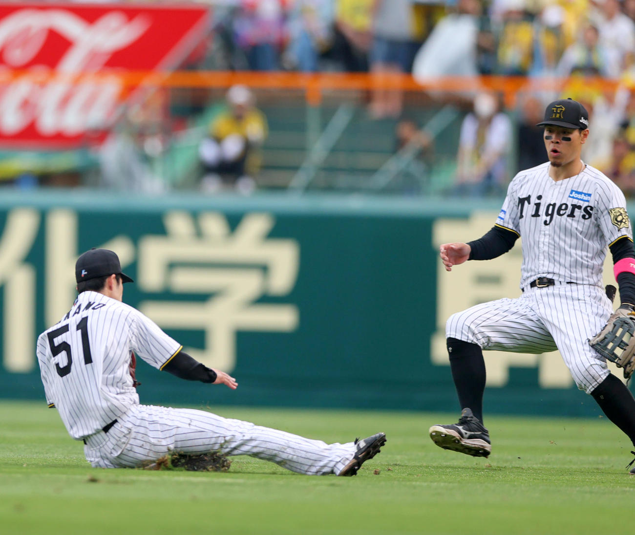 阪神対オリックス　6回表オリックス1死一塁、中野は杉本の二飛を好捕する。右は右翼手佐藤輝（撮影・上山淳一）