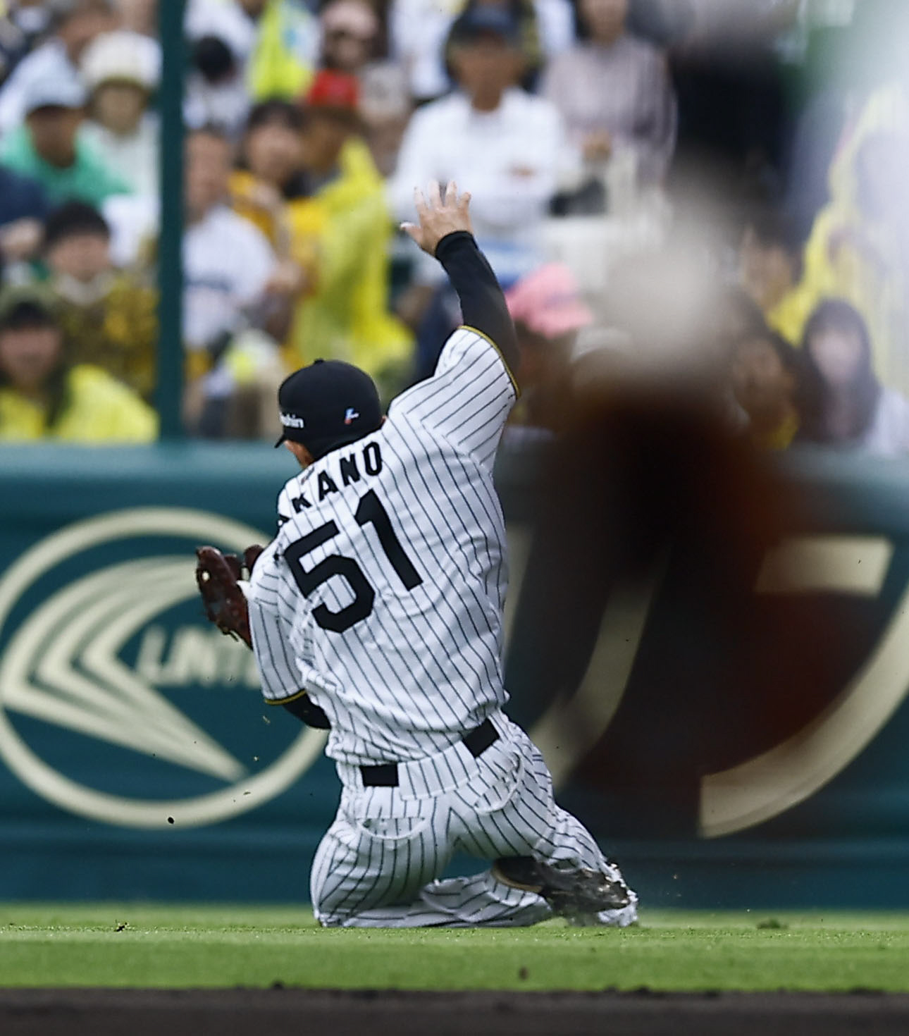 阪神対オリックス　6回表オリックス1死一塁、杉本の飛球を好捕する二塁手中野（撮影・藤尾明華）