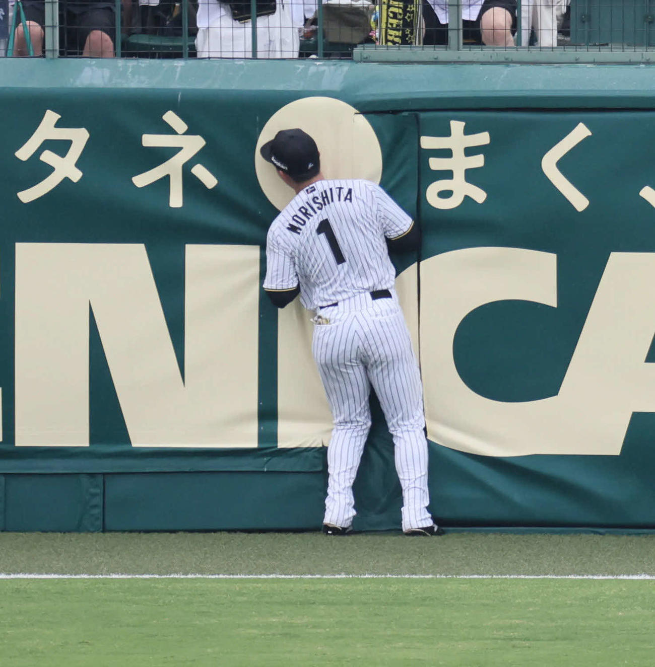 阪神対オリックス　5回表オリックス無死、森下は大城の打球を好捕しフェンスに当たって転倒する（撮影・宮崎幸一）