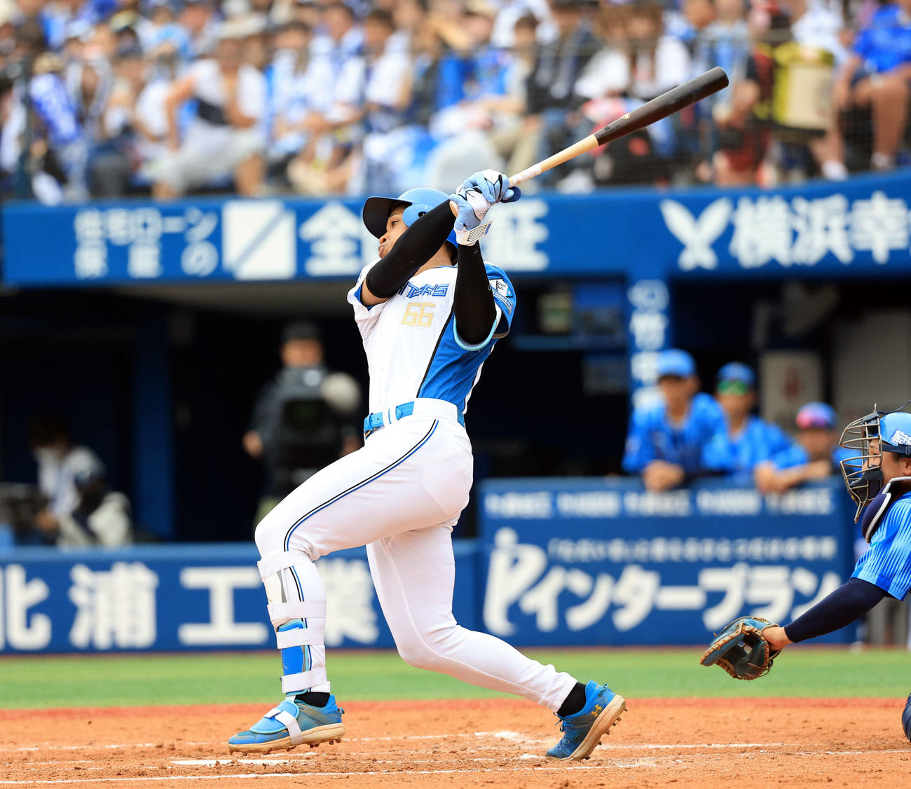 DeNA対日本ハム　5回表日本ハム1死、万波は勝ち越しソロ本塁打を放つ（撮影・浅見桂子）