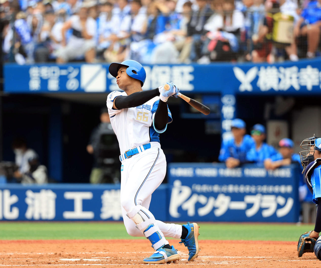 DeNA対日本ハム　5回表日本ハム1死、万波は勝ち越しソロ本塁打を放つ（撮影・浅見桂子）