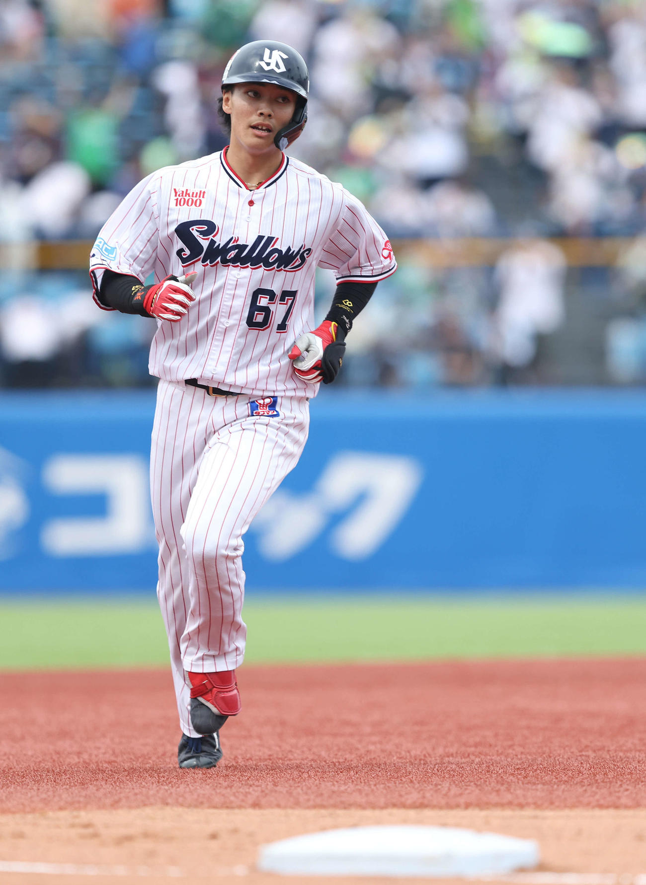 ヤクルト対ソフトバンク　5回裏ヤクルト1死二塁、左越え2点本塁打を放ちダイヤモンドを回る伊藤（撮影・河田真司）