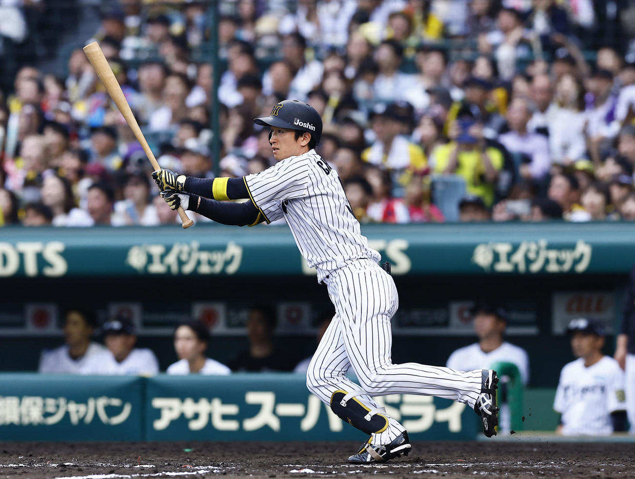 阪神対オリックス　8回裏阪神無死一塁、近本は中前打を放つ（撮影・藤尾明華）