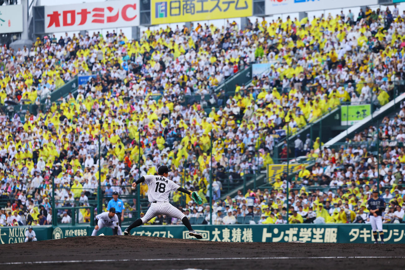 阪神対オリックス　5回、力投する阪神伊原（撮影・藤尾明華）