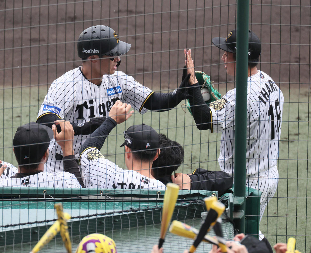 阪神対オリックス　3回裏阪神2死一、二塁、坂本は中野の左前適時打で生還し、伊原（右）に迎えられる（撮影・宮崎幸一）