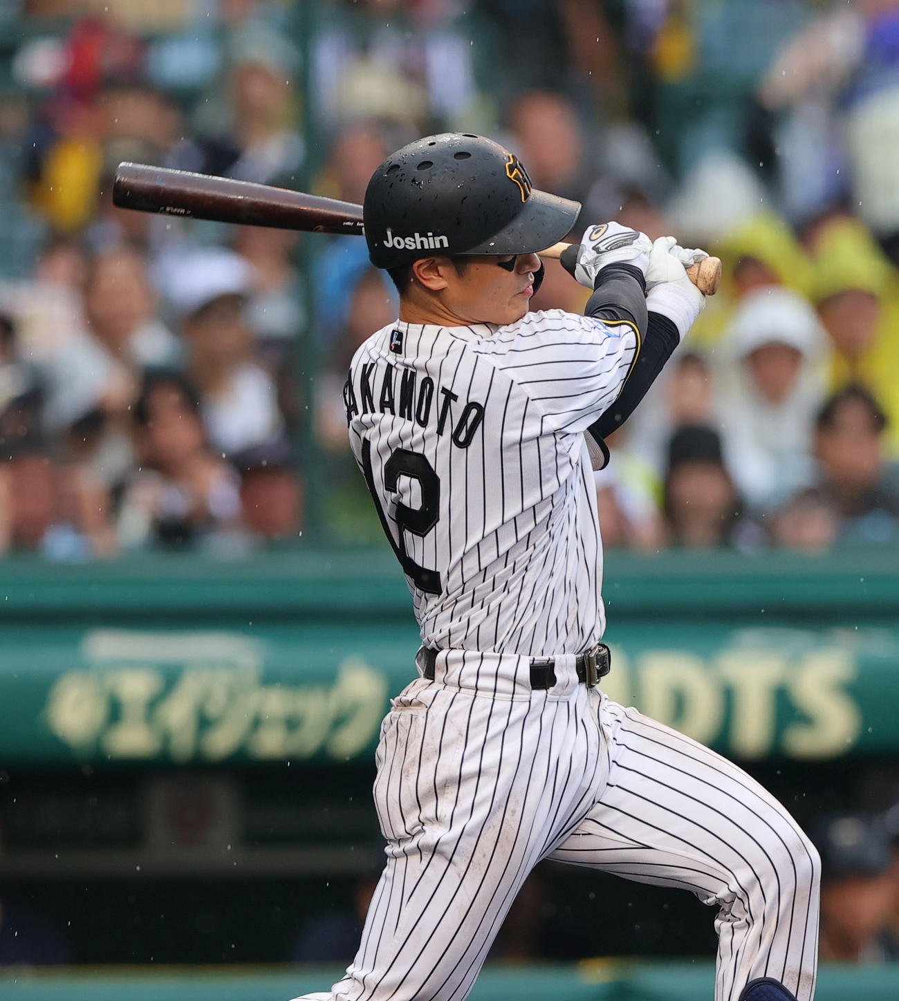 阪神対オリックス　3回裏阪神無死、坂本は左前打を放つ（撮影・上山淳一）