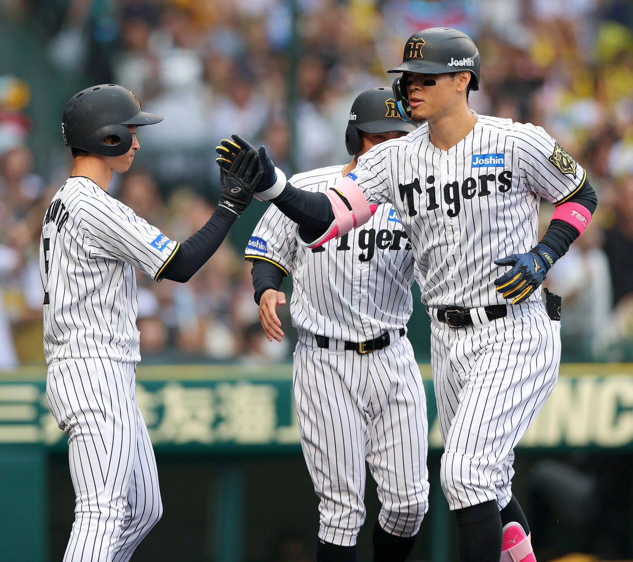 阪神対オリックス　8回裏阪神1死満塁、佐藤輝（右）は中越え満塁本塁打を放ち生還し、近本光司とタッチをかわす（撮影・上山淳一）