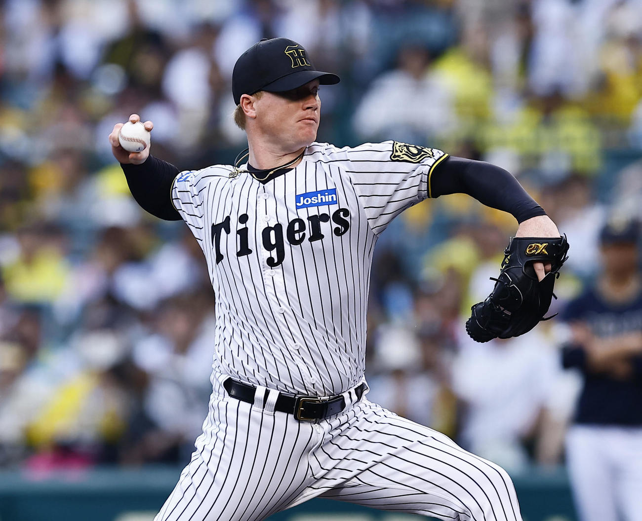 阪神対オリックス　7回、3番手で登板した阪神ネルソン（撮影・藤尾明華）