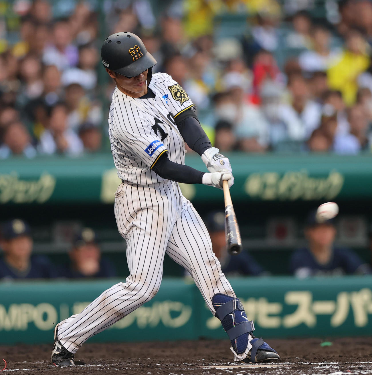 阪神対オリックス　7回裏阪神2死、坂本は中前打を放つ（撮影・上山淳一）