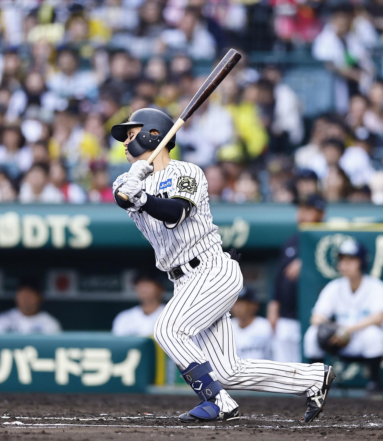 阪神対オリックス　7回裏阪神2死、坂本は中前打を放つ（撮影・藤尾明華）