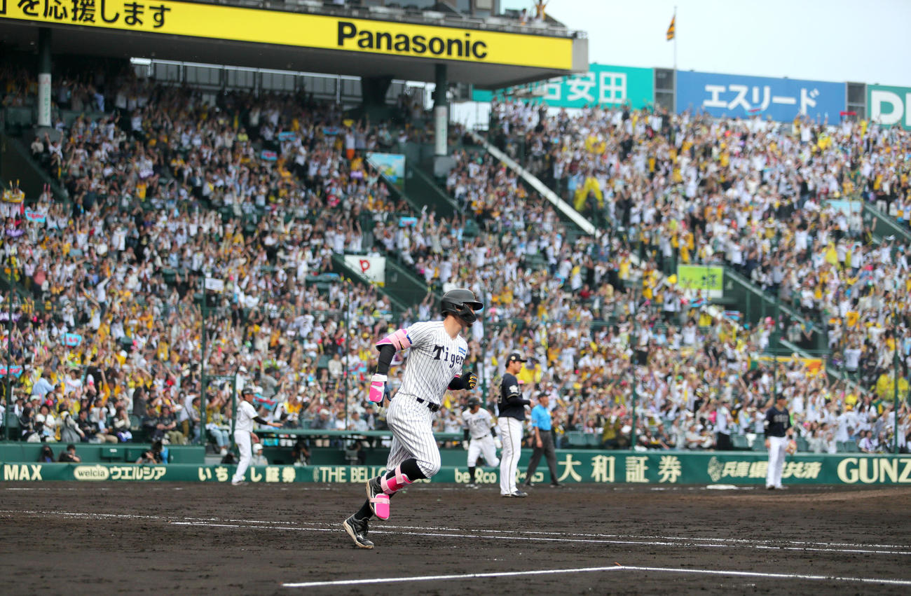 阪神対オリックス　8回裏阪神1死満塁、佐藤輝は中越え満塁本塁打を放つ（撮影・上山淳一）