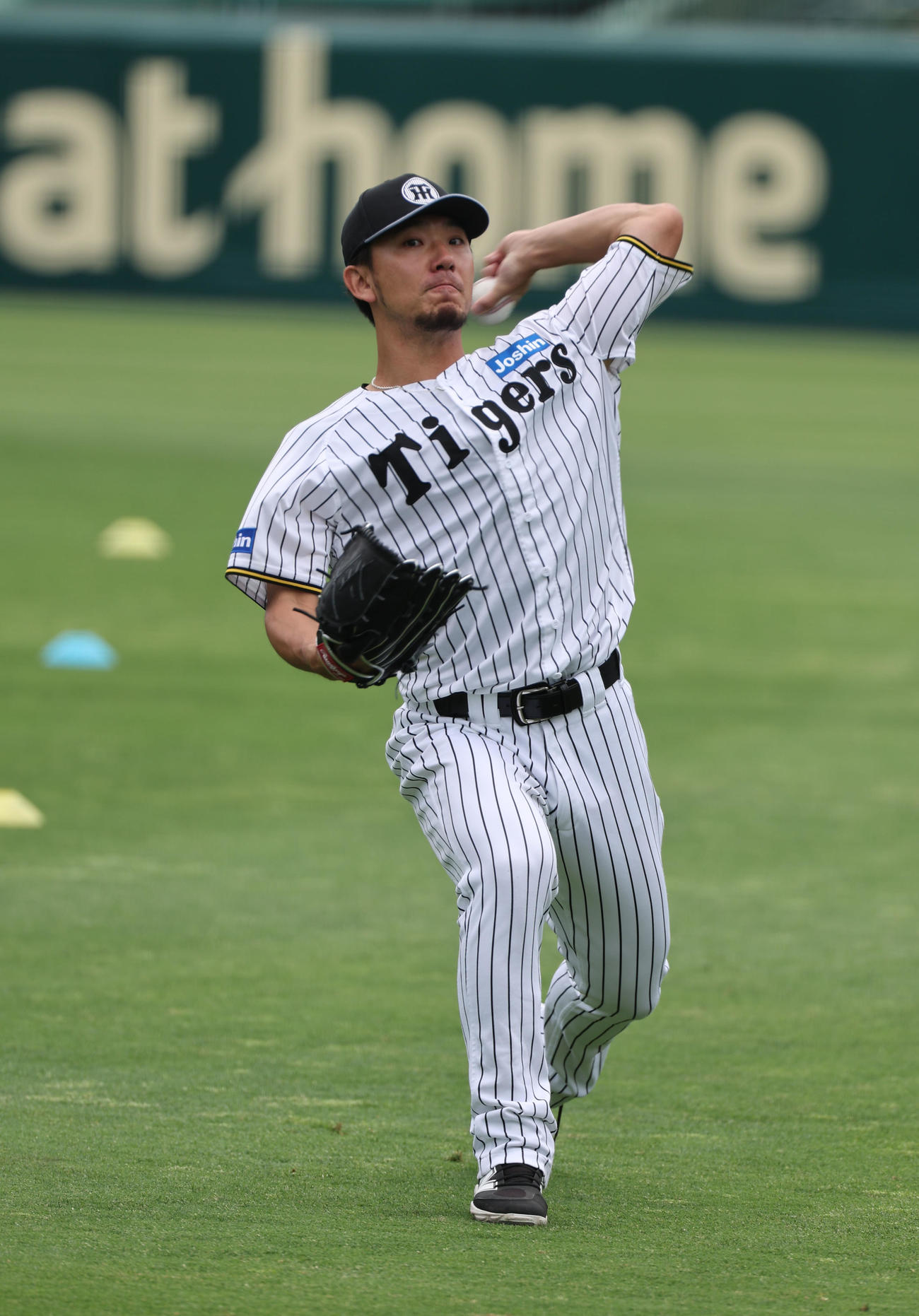 キャッチボールで調整する阪神伊藤将（撮影・西尾就之）