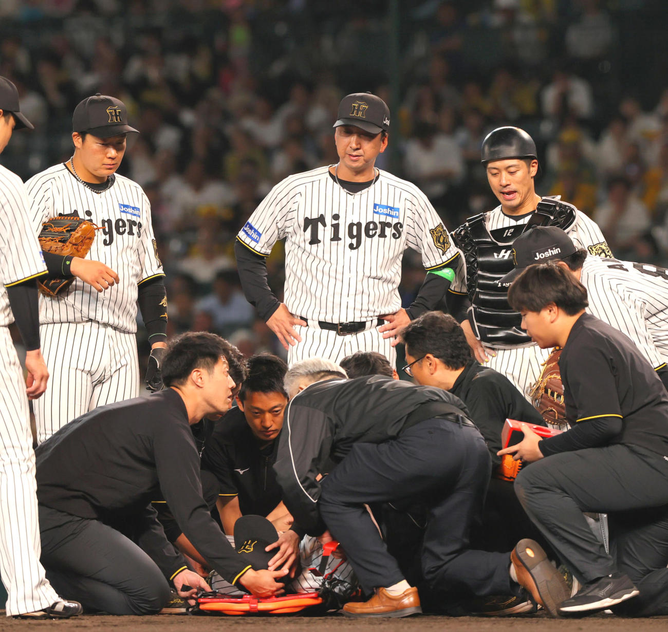 6日オリックス戦の9回、頭部に打球が当たった石井を心配そうに見つめる藤川監督
