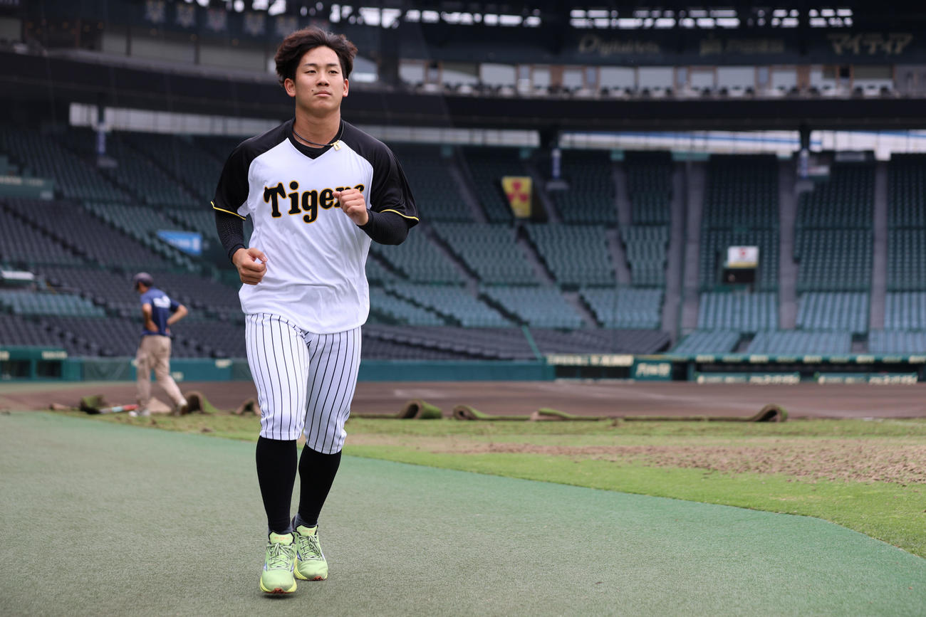 芝のメンテナンスが行われている横でランニングする阪神伊原（撮影・西尾就之）