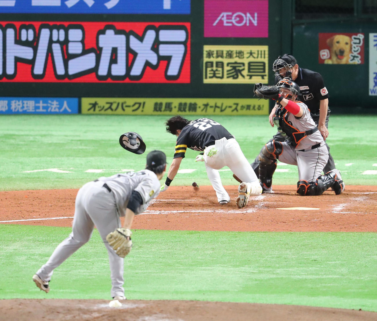 ソフトバンク対巨人　2回裏ソフトバンク1死一、二塁、周東は井上から危険球を受ける（撮影・梅根麻紀）