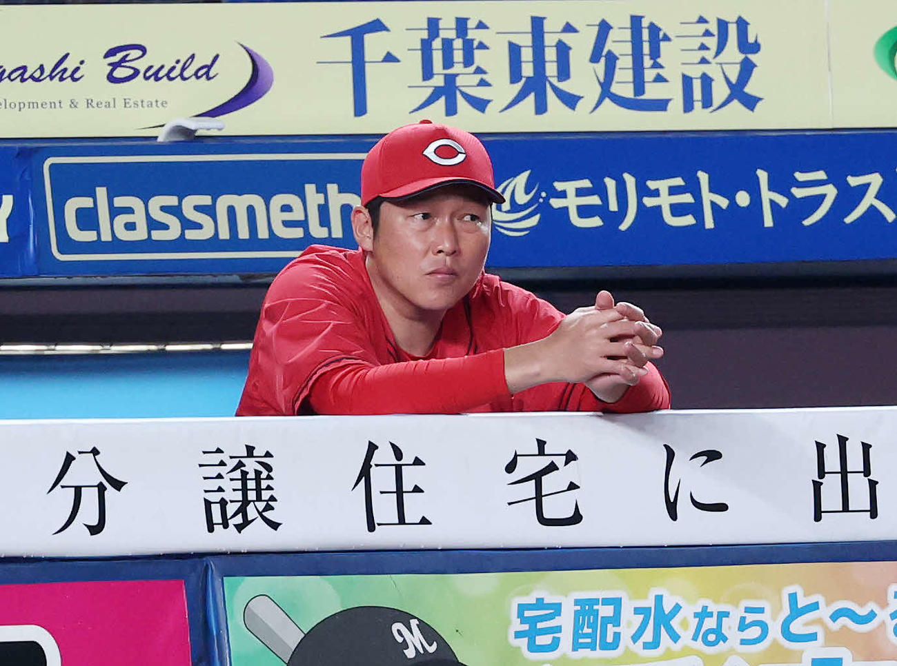 ロッテ対広島　5回表、戦況を見つめる広島新井監督（撮影・鈴木正人）