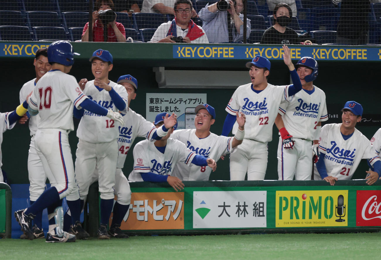 城西国際大対東海大　4回表城西国際大1死、藤本は左越えに本塁打を放ちナインの出迎えを受ける（撮影・柴田隆二）