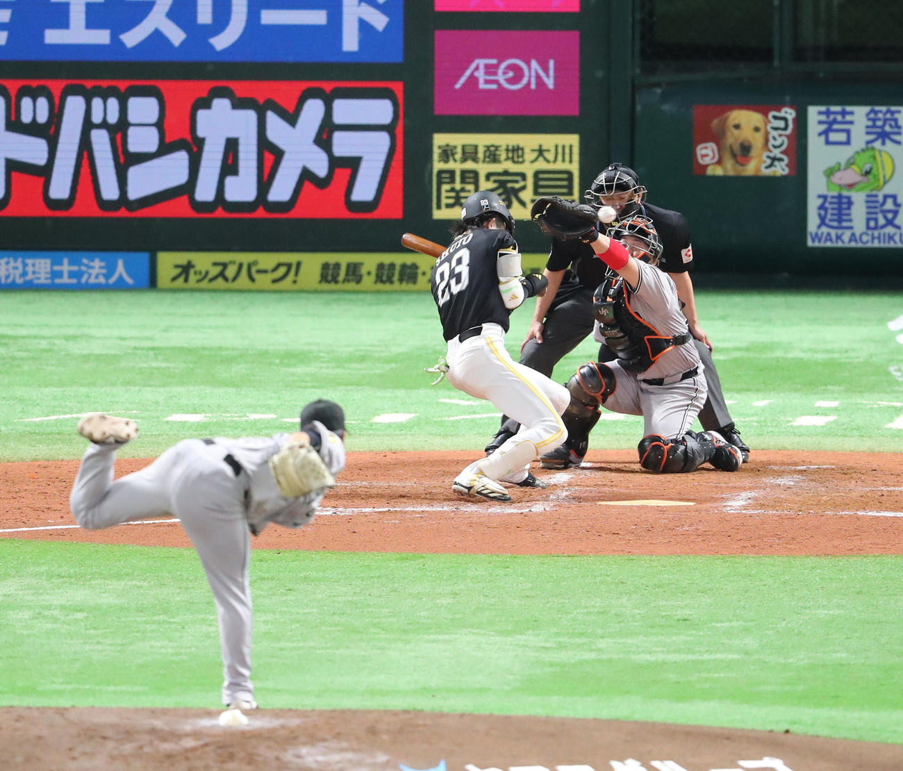 ソフトバンク対巨人　2回裏ソフトバンク1死一、二塁、周東は井上から危険球を受ける（撮影・梅根麻紀）