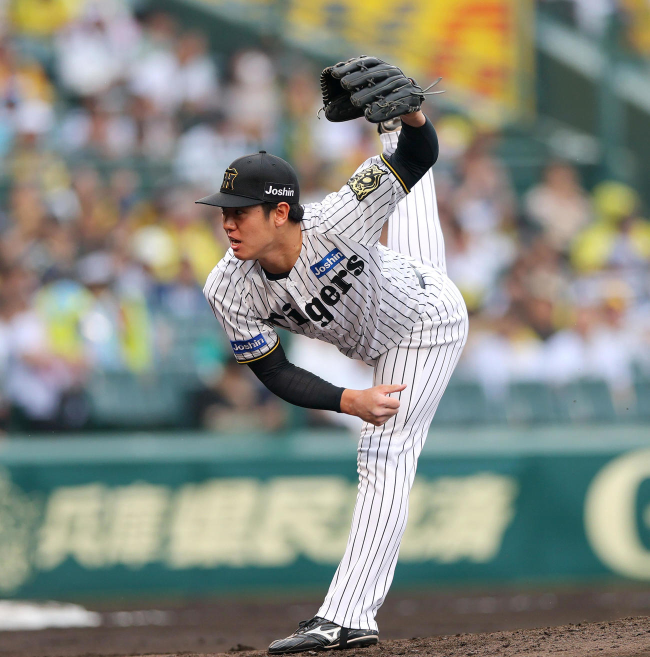 阪神石黒佑弥（2025年6月8日撮影）
