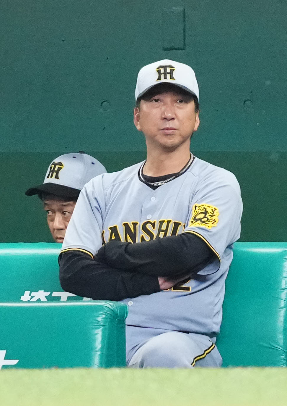 西武対阪神　2回裏、ベンチから戦況を見つめる阪神藤川監督（撮影・江口和貴）
