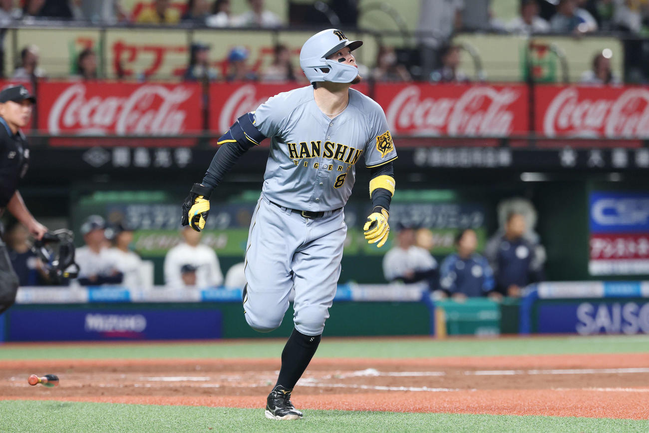 西武対阪神　9回表阪神無死、右越えソロ本塁打を放ち打球を見上げる佐藤輝（撮影・宮地輝）
