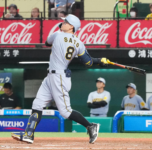 あ*ぷ様 佐保のホームランボール 第1号 Z6RPWZAODBMMDEU45PG6UGY6DQ.jpg