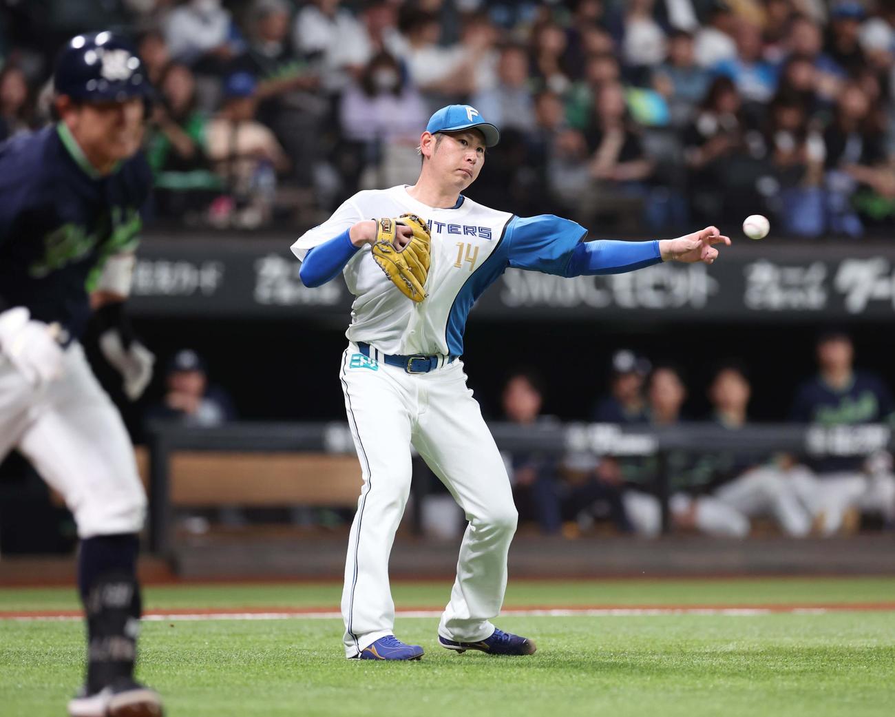 日本ハム対ヤクルト　2回表ヤクルト無死、増田を投ゴロにとる加藤貴（撮影・黒川智章）