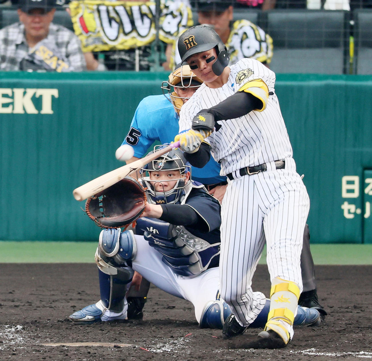 阪神森下翔太（2025年6月8日撮影）
