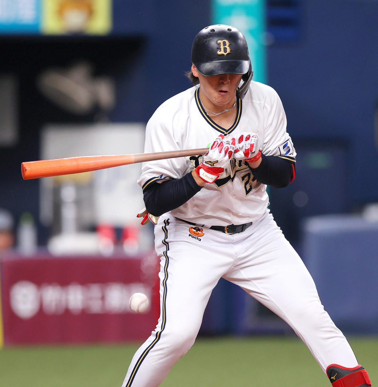 オリックス対DeNA 1回裏オリックス1死、紅林は死球を受ける（撮影・上山淳一）