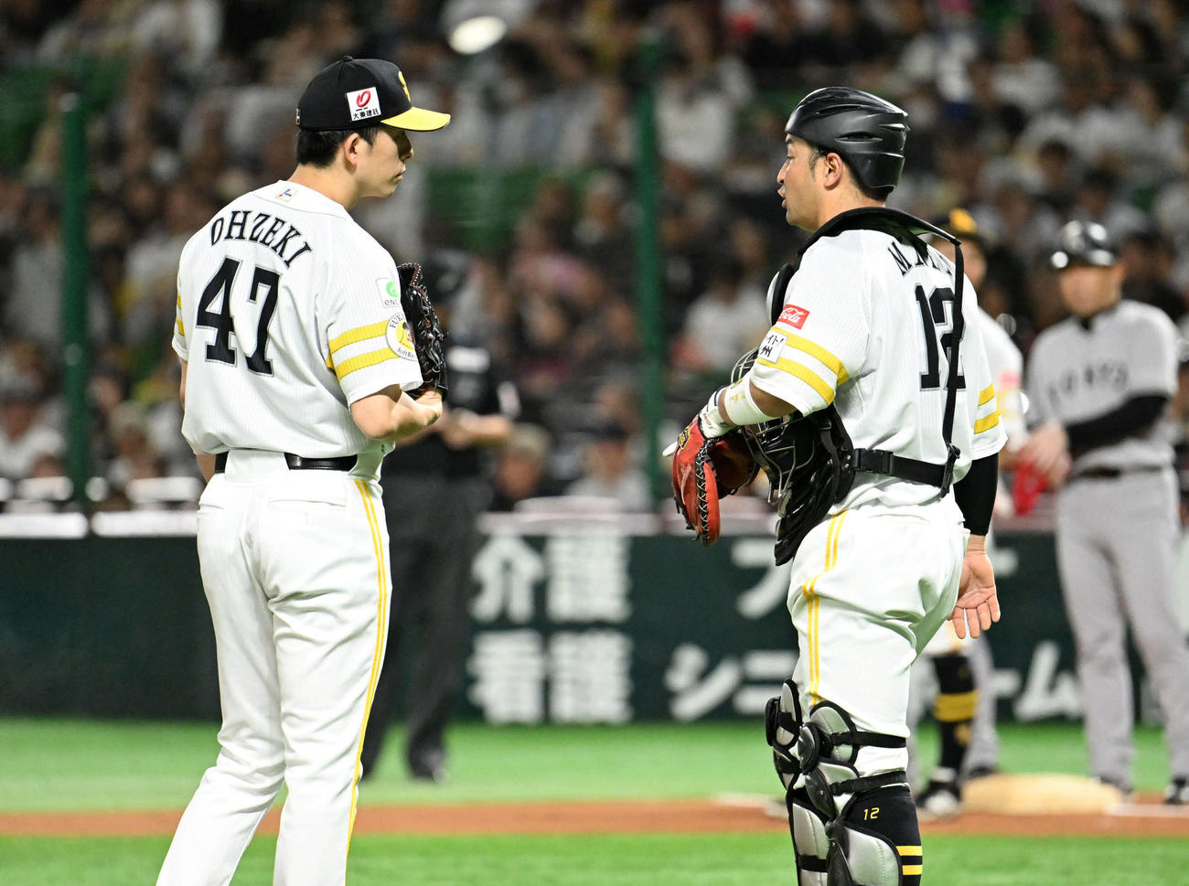 ソフトバンク対巨人　6回表巨人無死一塁、マウンドで話す大関（左）と嶺井（撮影・林敢治）