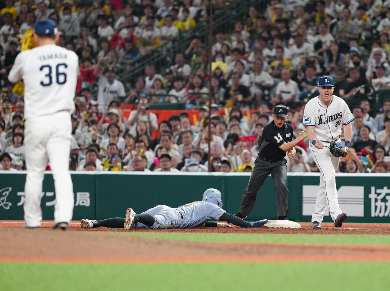 西武対阪神　8回表阪神1死満塁、けん制死する一塁走者佐藤輝。一塁手ネビン（撮影・江口和貴）