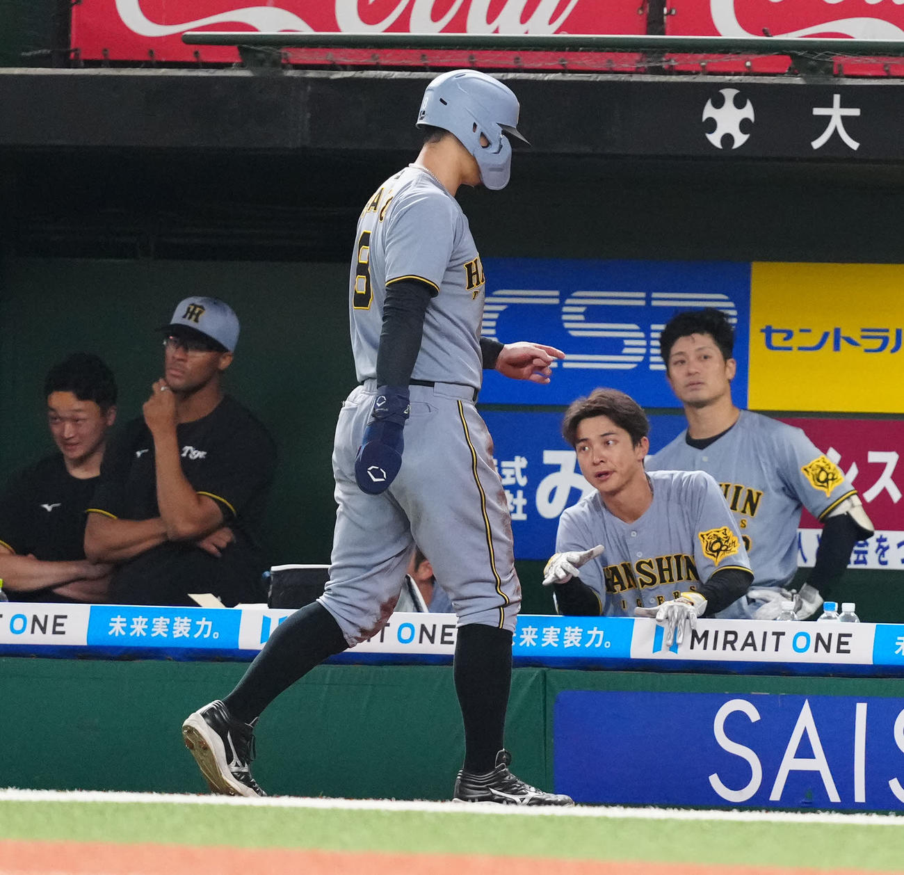 西武対阪神　8回表阪神1死満塁、けん制死でベンチに引き揚げる一塁走者佐藤輝（撮影・江口和貴）