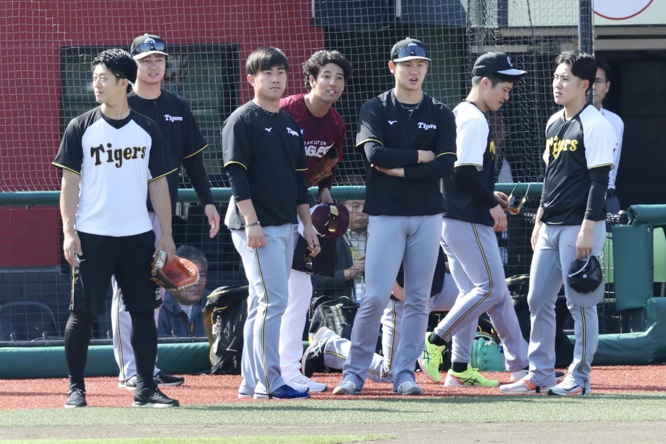 楽天対阪神　試合前、阪神ナインと言葉を交わす楽天加冶屋（中央）（撮影・河田真司）