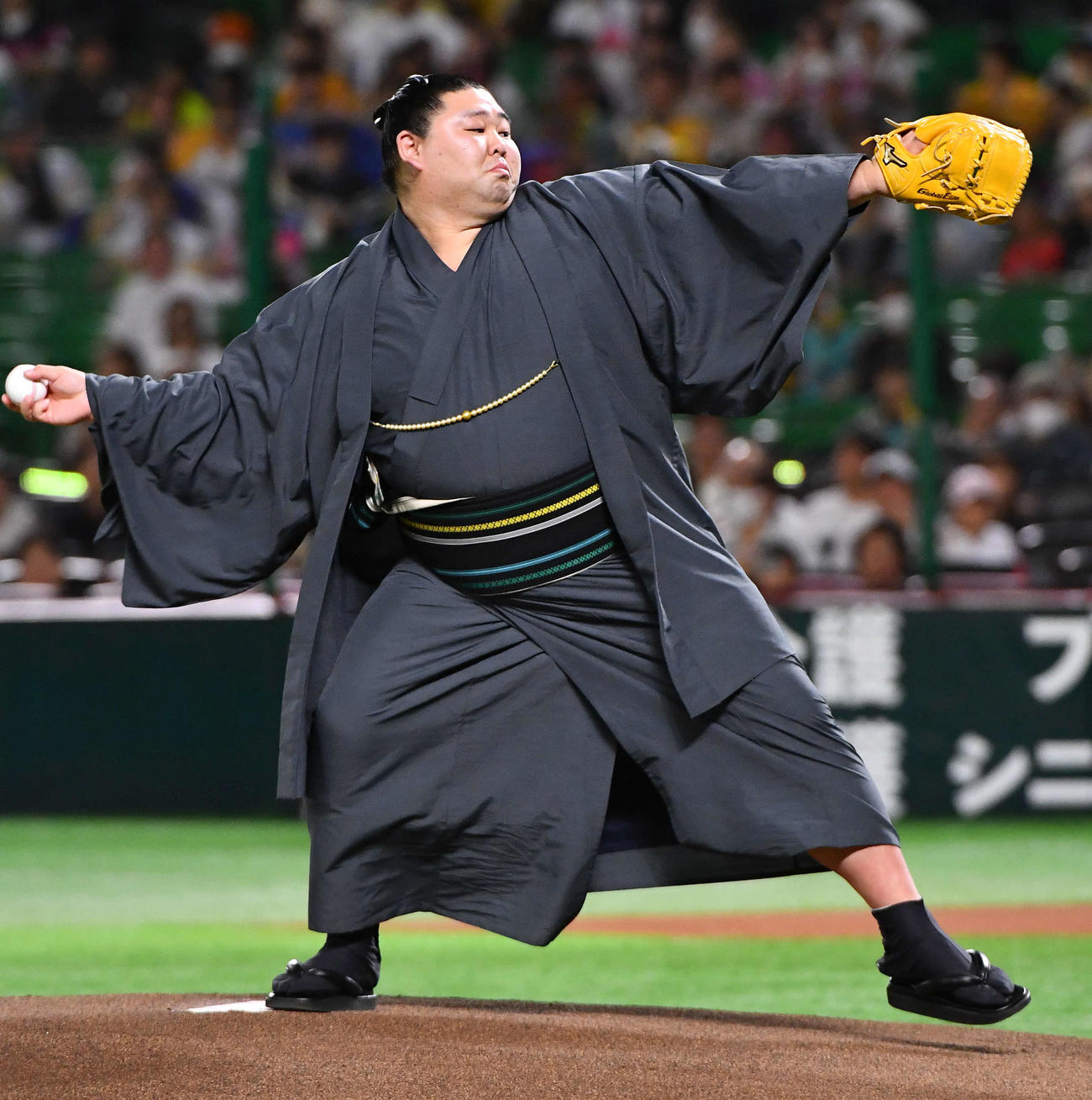 ソフトバンク対DeNA　セレモニアルピッチを務めた大相撲の正代（撮影・岩下翔太）