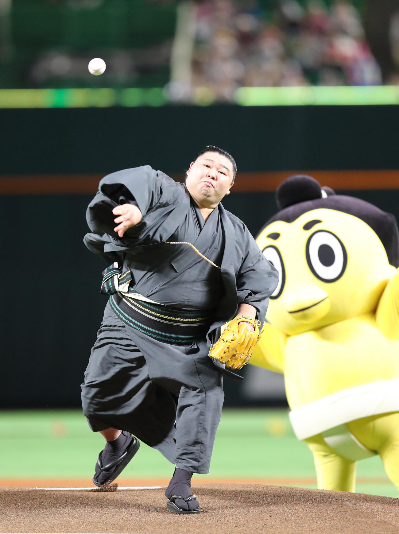 ソフトバンク対DeNA　セレモニアルピッチで見事な投球を披露した正代、後方はせきトリくん（撮影・梅根麻紀）