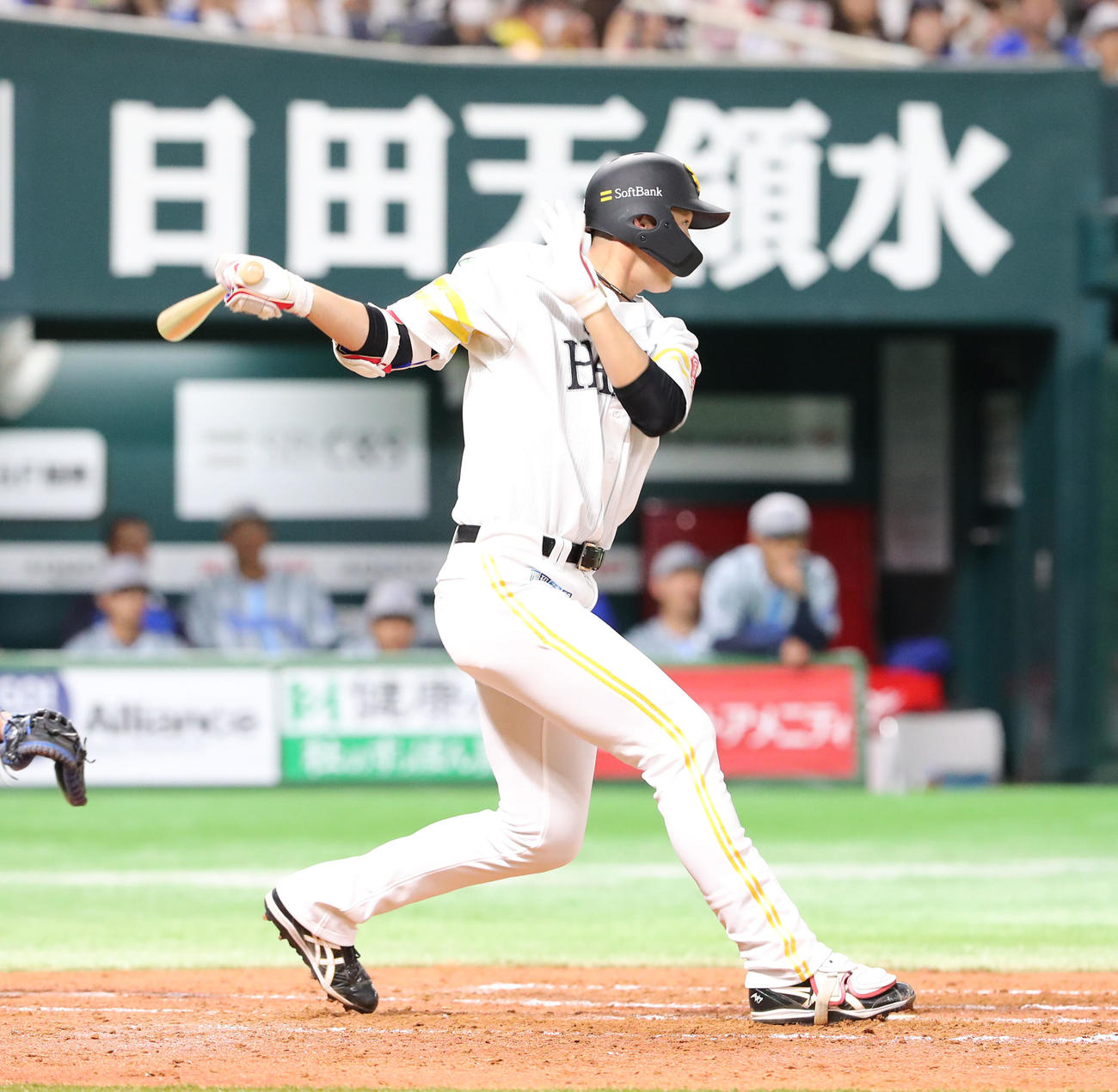 ソフトバンク対DeNA 4回裏ソフトバンク2死二、三塁、秋広は左前に先制適時打を放つ（撮影・梅根麻紀）