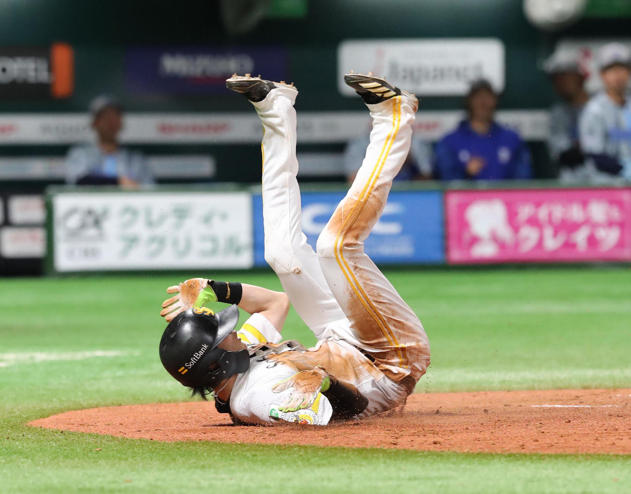 ソフトバンク対DeNA 4回裏ソフトバンク2死二塁、柳町の左前安打で二塁走者の周東は一気に本塁をつくが惜しくもアウト、勢い余って転がる（撮影・梅根麻紀）