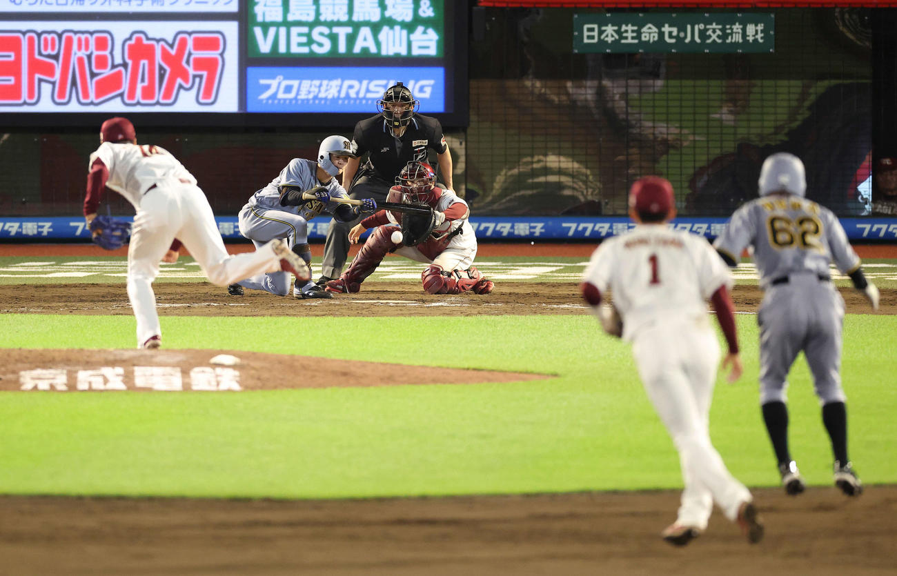 楽天対阪神　9回表阪神無死一、二塁、送りバントを決める中野。投手則本（撮影・河田真司）