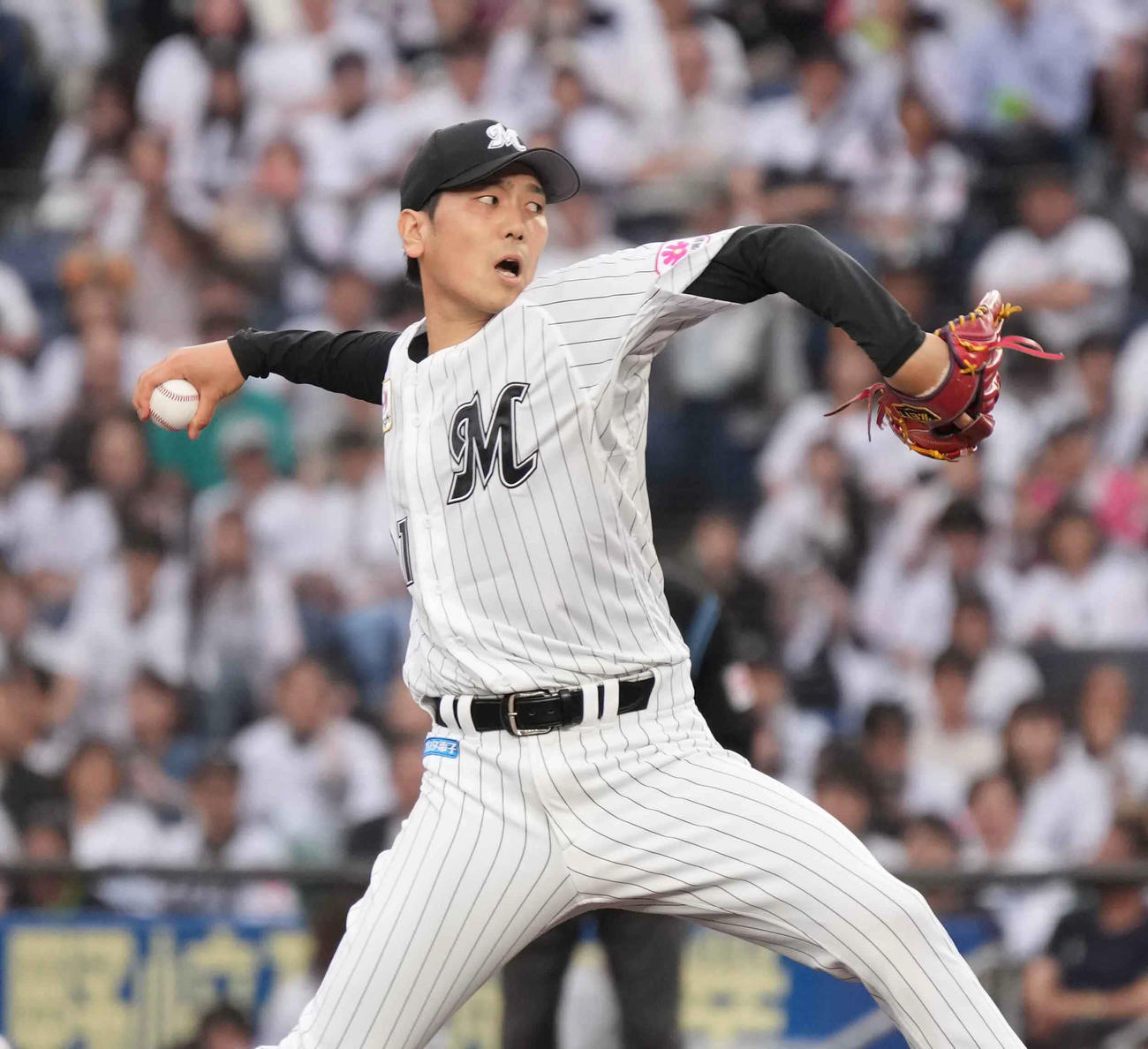 ロッテ対ヤクルト　ロッテ先発の石川柊（撮影・小沢裕）